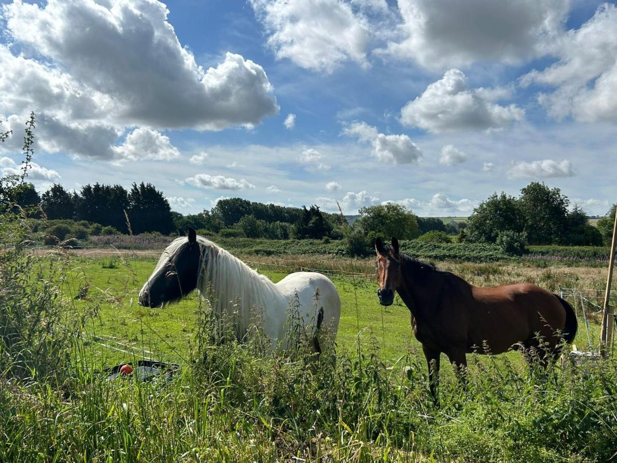 מלון סקארבורו Roe Deer Meadow At Carr House Farm מראה חיצוני תמונה